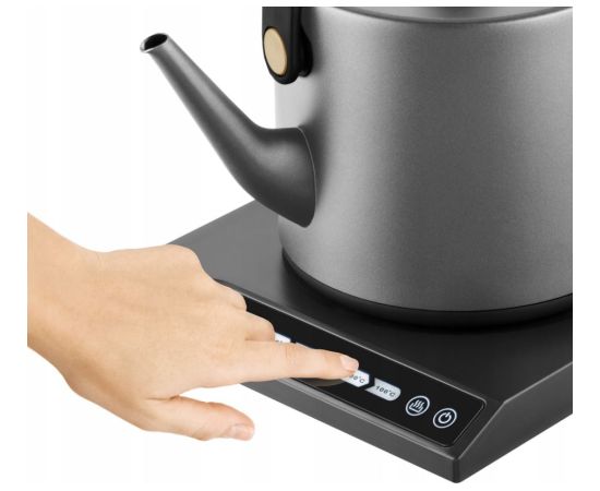 Thermo kettle Catler Чайники (электрические)