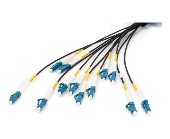 Digitus fiber optic universal breakout cable, duplex, LC/UPC connector, single mode OS2 (black, 50 meters, pre-assembled) Tīkla vadi