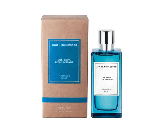 Angel Schlesser Les Eaux D´Un Instant Aromatic Sage EDT 100ml Мужская парфюмерия