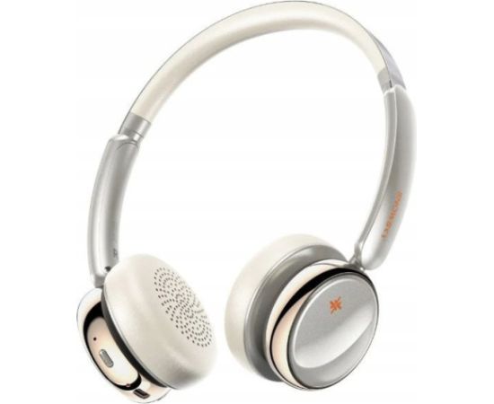 Austiņas FiiO Snowsky Anytime - Titanium Gold  ANC Jaunumi - Datori