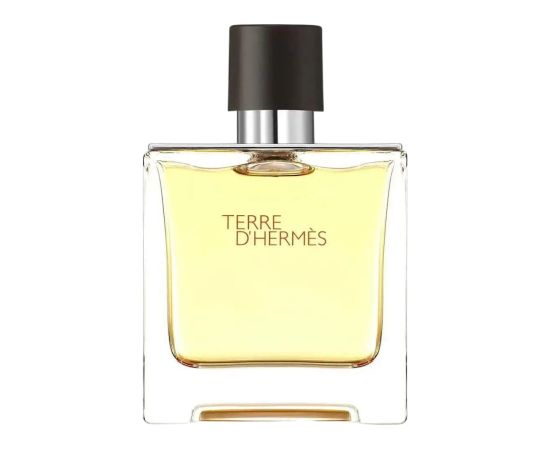 Hermes, Terre d'Hermes, Eau De Parfum, For Men, 75 ml *Tester Smaržas - NESAKĀRTOTS