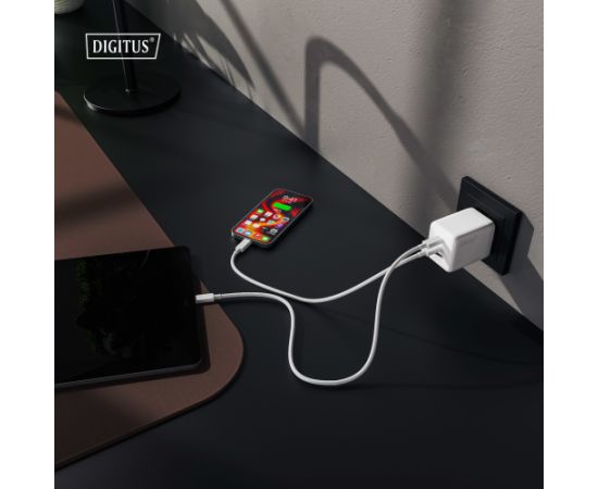 Digitus Battery charger, 100W DA-10304 Новинки смартфонов и телефонов