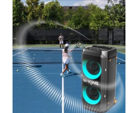 Głośnik bezprzewodowy Bluetooth W-KING T12 czarny Bezvadu skaļruņi