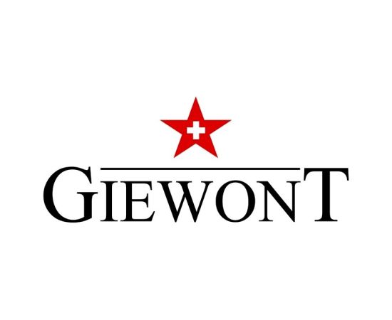 GIEWONT RealSound PRO ANC ENC GWS800-1 Bezvadu austiņas / melns Austiņas