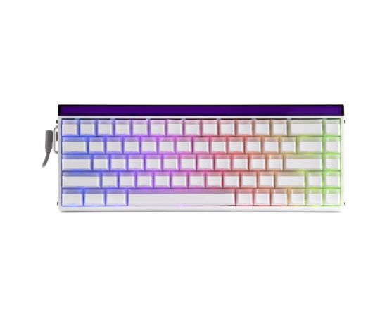 HERO68 HE Black+Red+Gradient Dragon King RGB AULA gasket keyboard Klaviatūras