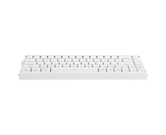 HERO68 HE Black+Red+Gradient Dragon King RGB AULA gasket keyboard Klaviatūras