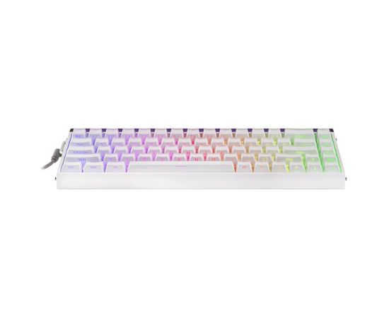 HERO68 HE Black+Red+Gradient Dragon King RGB AULA gasket keyboard Klaviatūras