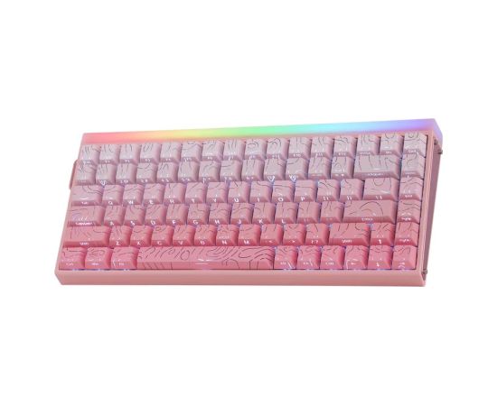 HERO84 HE PINK+Gradient+Contour Dragon King RGB AULA gasket keyboard Klaviatūras