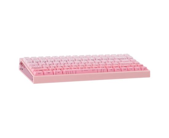HERO84 HE PINK+Gradient+Contour Dragon King RGB AULA gasket keyboard Klaviatūras