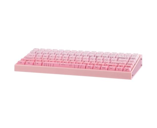 HERO84 HE PINK+Gradient+Contour Dragon King RGB AULA gasket keyboard Klaviatūras