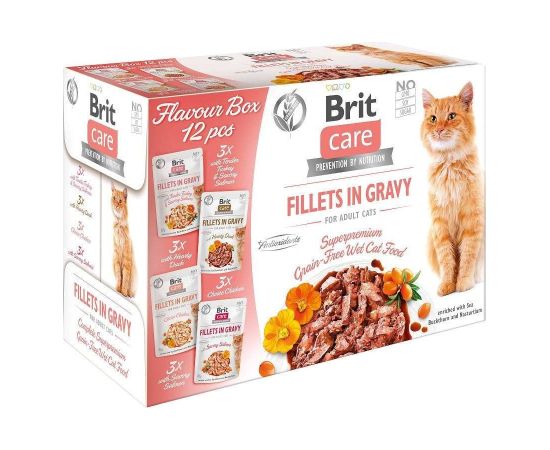 Brit care fillets in gravy for adult cats 12x85g Kaķu konservi