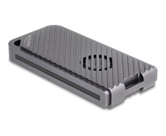 DeLOCK drive enclosure M.2 NVMe USB 40 Gbps Gaming Style (gray, tool-free, with LED and fan) Korpusi ārējiem HDD, SSD