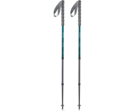 Pinguin Fastrail TL Foam / Zila / 66 - 130 cm Нордическая ходьба
