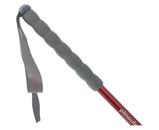 Pinguin Fastrail TL Foam / Zila / 66 - 130 cm Нордическая ходьба