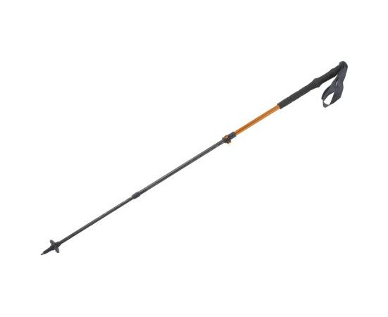 Pinguin Shock FL/TL Foam / Zila / 63 - 135 cm Нордическая ходьба