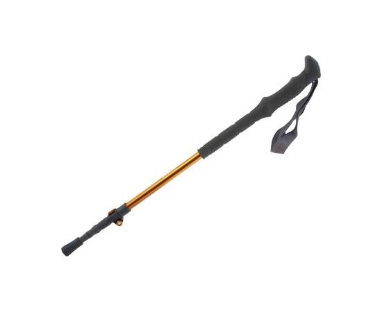 Pinguin Shock FL/TL Foam / Zila / 63 - 135 cm Нордическая ходьба