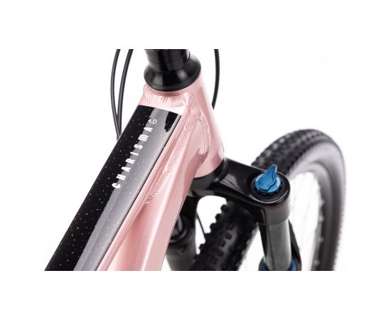 Bike CTM Charisma 4.0 29" Горные велосипеды (MTB)
