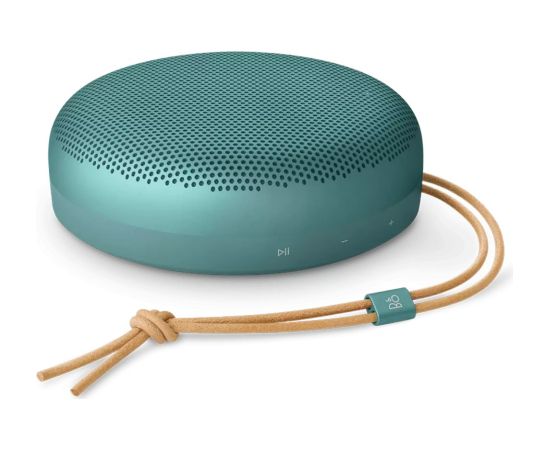 Brightsign Beosound A1 3rd Gen Eucalyptus Green Новинки Компьютерная техника