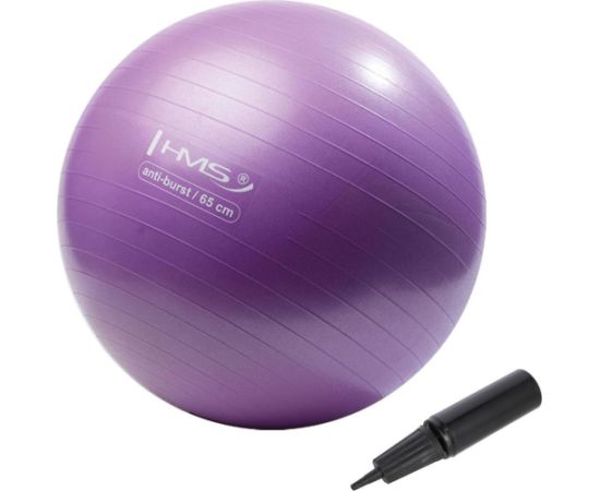 Jauna violeta vingrošanas bumba HMS YB02, 65 cm Fitnesa bumbas