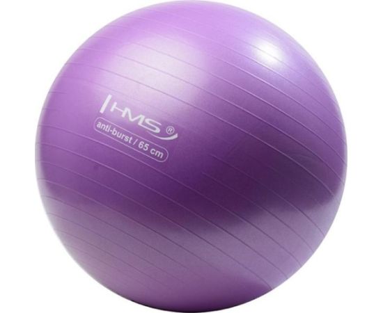 Jauna violeta vingrošanas bumba HMS YB02, 65 cm Fitnesa bumbas
