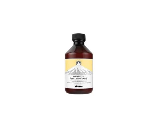 Davines Natural Tech Purifying Shampoo 250ml Matu kopšana