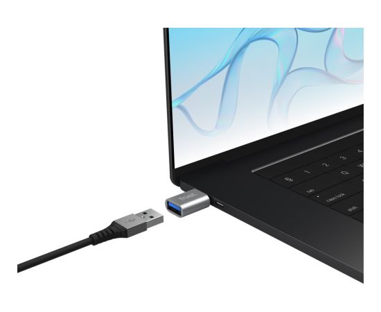 Trust 26221 USB graphics adapter Silver Adapteri