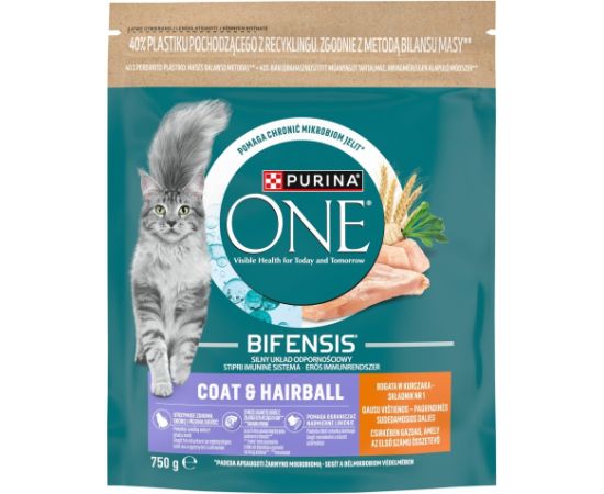 Purina ONE Coat&Hairball Kurczak/Pełne Ziarna 750g Barība