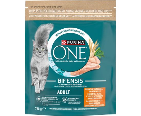 Purina One Mini Active bogata w kurczak z ryż 750g Kaķu sausā barība
