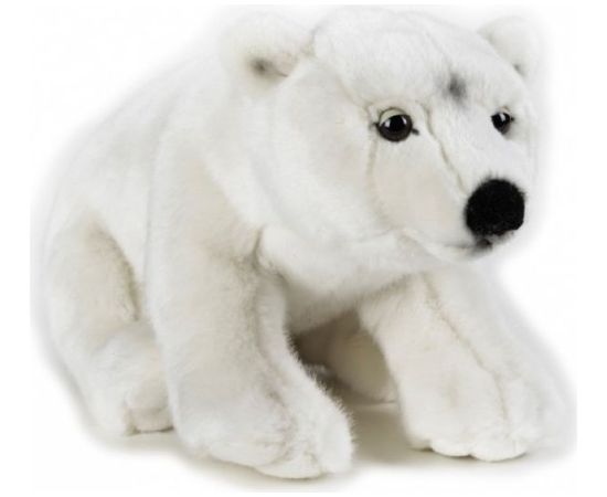 Dante Pluszak National Geographic Niedźwiedź polarny biały 35 cm (003-70723) Мягкие игрушки