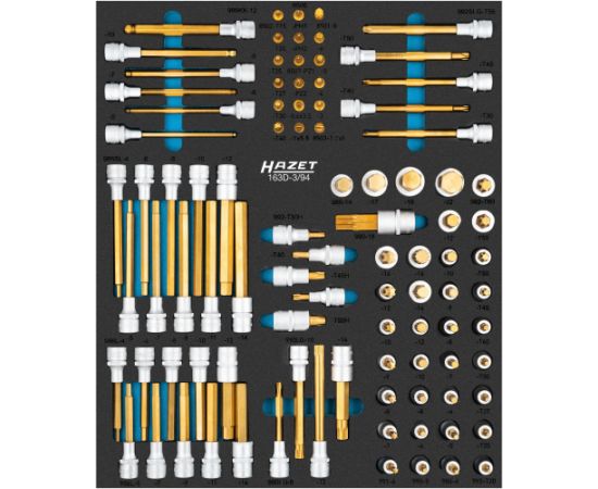 Hazet screwdriver socket set 163D-3/94, size 1/2++ 94 pieces Jaunumi -Dārzam