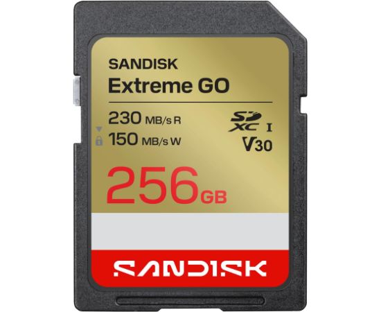 MEMORY SDXC 256GB UHS-I/SDSDXGN-256G-GNCIN SANDISK Карты памяти