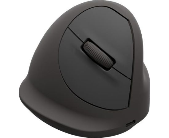 MOUSE USB OPTICAL WRL VERTICAL/ERGO+ S RT 100143580 FELLOWES Peles, ievadierīces