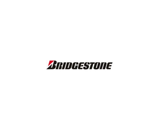 BRIDGESTONE DM-V3 235/65R17 108S Ziemas riepas
