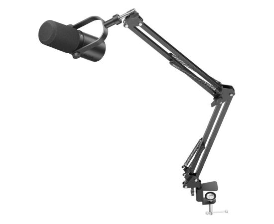 BOYA CastMic P60B studio microphone with arm, wired USB XLR - black Mikrofoni