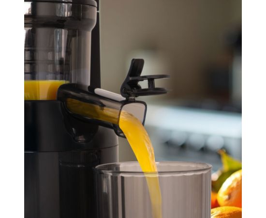 ELDOM PJ350 SLOW JUICER 250W Sulu Spiedes
