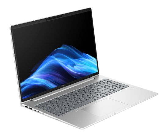 HP ProBook 4 G1a BM2S8UT 16'' WUXGA AMD Ryzen 5 230 16GB 256GB SSD W11P, Pike Silver Portatīvie datori