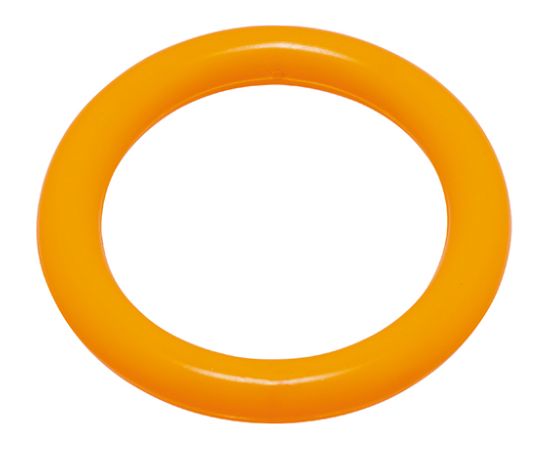 Diving ring FASHY 4204 88 neon orange Jaunumi - Sports