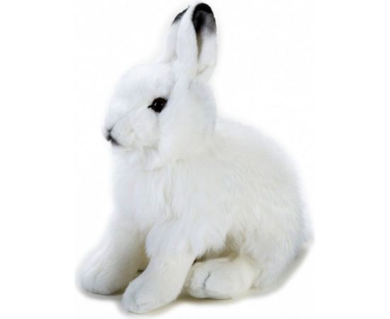 Dante Pluszak National Geographic Zając polarny biały 25 cm (003-70725) Мягкие игрушки