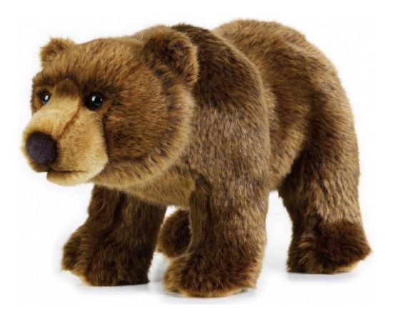 Dante Pluszak National Geographic Niedźwiedź Grizli brązowy 30 cm (003-70740) Мягкие игрушки