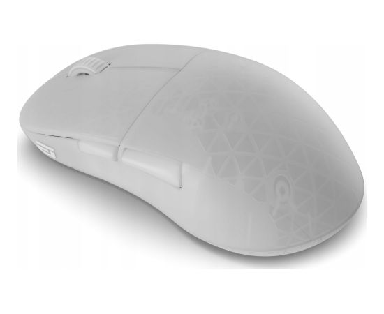 Endgame Gear XM2w 4k Wireless Gaming Mouse,  White Frost Новинки Компьютерная техника
