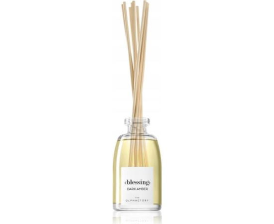 Etro The Olphactory, Blessing Dark Amber, Fragrance Sticks, Aroma Reed Diffuser, 250 ml Unisex Unisex Smaržas