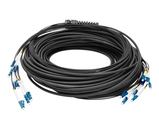 Digitus fiber optic universal breakout cable, duplex, LC/UPC connector, single mode OS2 (black, 50 meters, pre-assembled) Tīkla vadi