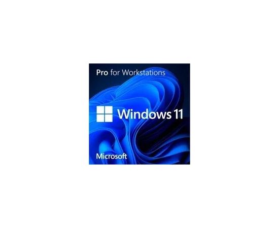 Microsoft SB Windows 11 Pro for Workst 64Bit UK - DVD Datoru programmatūra