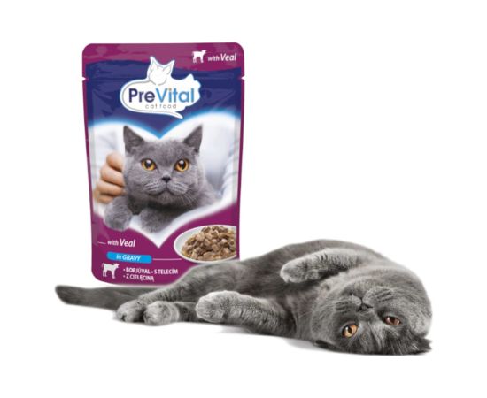 PREVITAL Veal in gravy - wet cat food - 100g Консервы кошек
