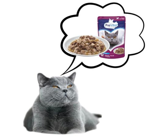 PREVITAL Veal in gravy - wet cat food - 100g Консервы кошек