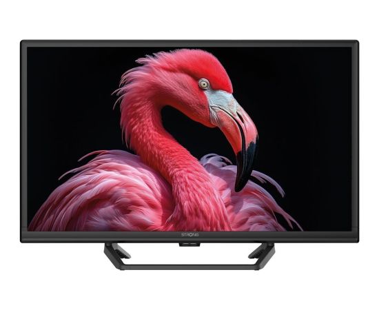 TV Strong TV 24 230/12Volt Google TV SRT24HG4723C Новинки Компьютерная техника