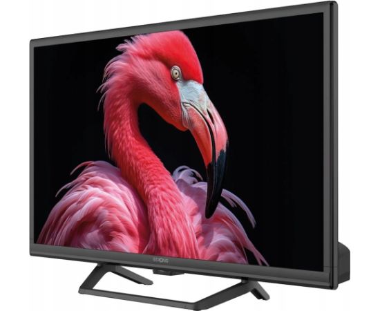 TV Strong TV 24 230/12Volt Google TV SRT24HG4723C Новинки Компьютерная техника