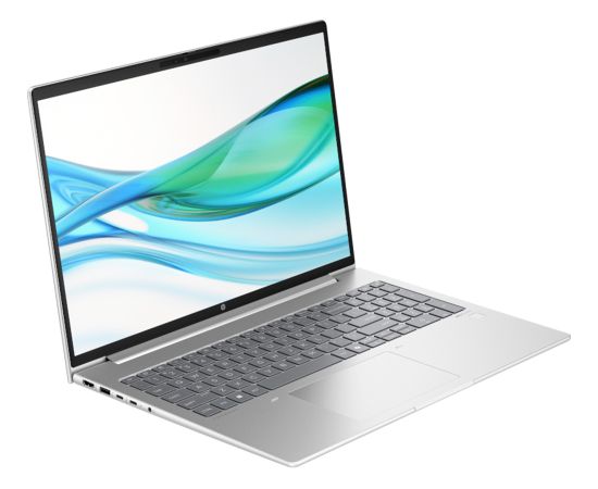 HP ProBook 460 G11 (D05CVES) (silver, Intel® Core? Ultra 7 155H, Intel® Graphics, 16 GB DDR5, 512 GB (512 GB SSD), Windows 11 Pro) - German - DE Layout Portatīvie datori