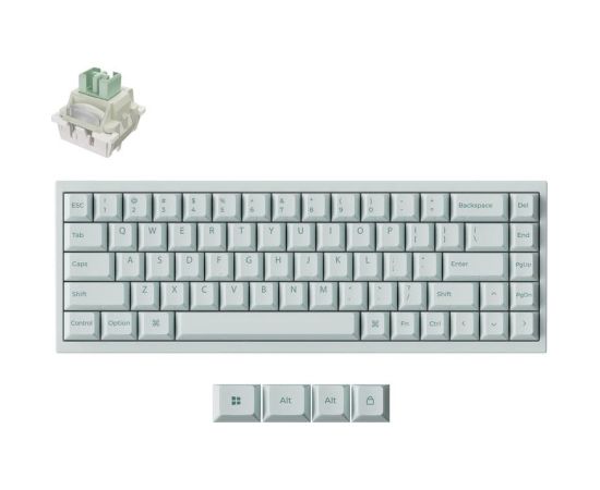 KEYBOARD USB-C Q16 HE 8K/LIGHT GREEN Q16HW-L1 KEYCHRON Klaviatūras
