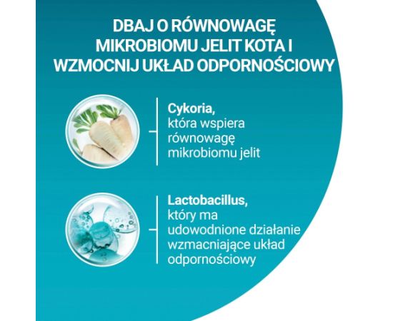 Purina ONE Sensitive Bogata w Indyka i Ryż 750g Kaķu sausā barība